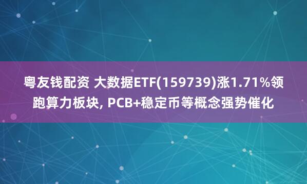 粤友钱配资 大数据ETF(159739)涨1.71%领跑算力板块, PCB+稳定币等概念强势催化