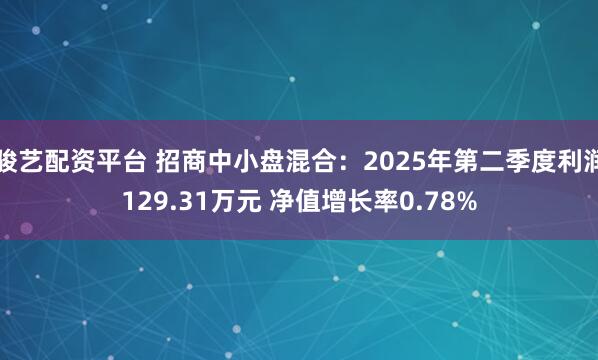 骏艺配资平台 招商中小盘混合：2025年第二季度利润129.31万元 净值增长率0.78%