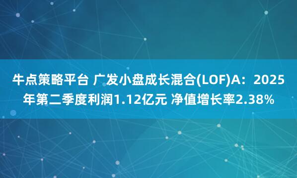 牛点策略平台 广发小盘成长混合(LOF)A：2025年第二季度利润1.12亿元 净值增长率2.38%